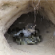 Image for article titled YouTube Starts Banning Fake 'Rescue' Videos of Snakes Attacking Puppies and Kittens